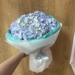 FlorSeason