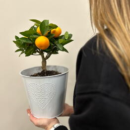 FLOWER ROOM