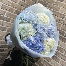 MOSFlovers