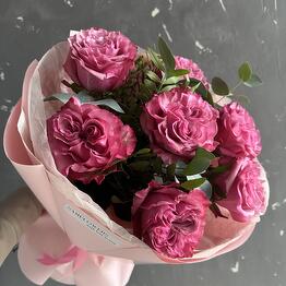 Samflowers