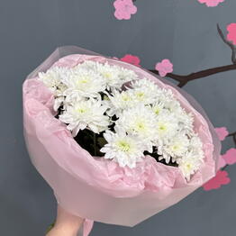 Pion