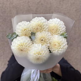 FLORA