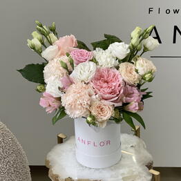 ANFLOR
