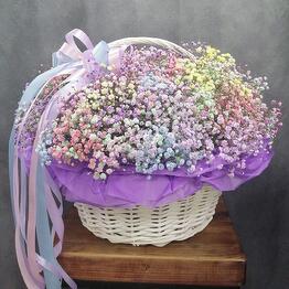 Sharm Flowery
