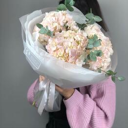 Florissimo