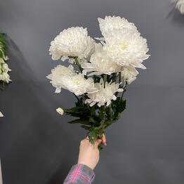 FLOWERS on BALLOON