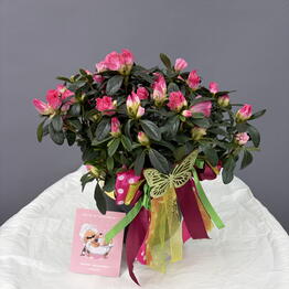 florein 