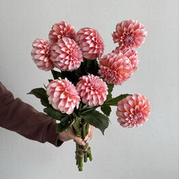 FLOWERSJOY 
