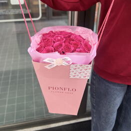 PIONFLO