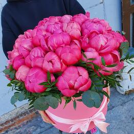 Elite Flowers