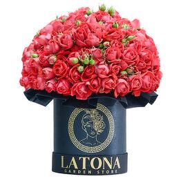 Latona Flowers & Gifts