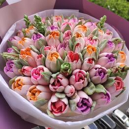 Silkcakes msk