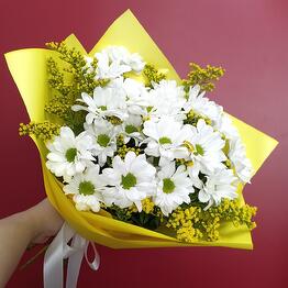 LOVI BUKET