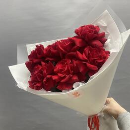 Dianthus