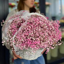 Lovely flowers