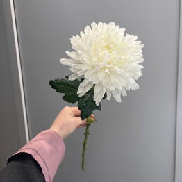 Студия цветов Август 