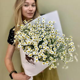 МАТЕЛИЯ