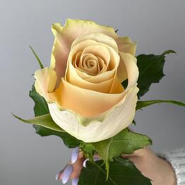 NikaFlower цветы & шары