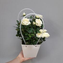 Buket - dekor