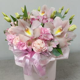 Fiore Lily spb