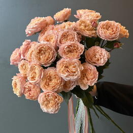 Flowers titan