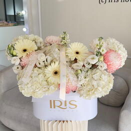 IRIS flowers