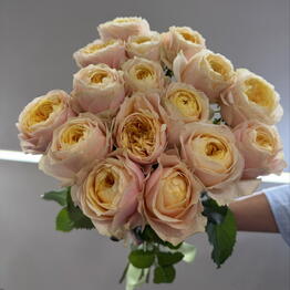 Harmony Flowers