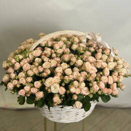 MM Flowers 
