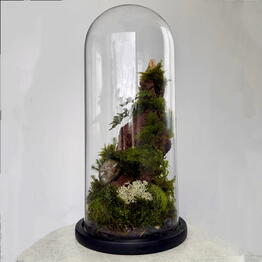 Florarium nch