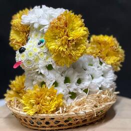 Цветы мира РИЖСКАЯ