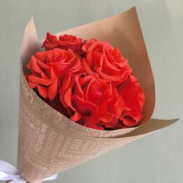 Олелэнд
