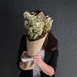 Shishka Flo
