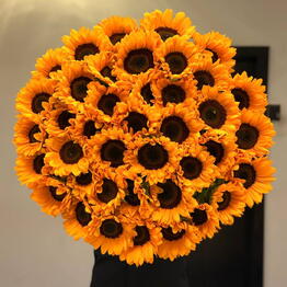 Moscow Flowers
