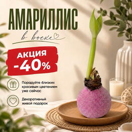 AmaryLove