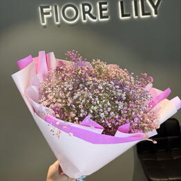 Fiore Lily spb