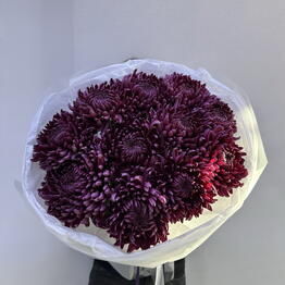 BB Flowers