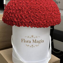 Flora magia