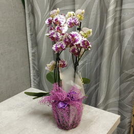 Nataliflowers24 Студия цветов