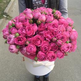Цветы на Московском