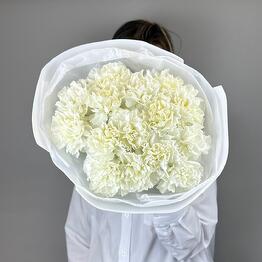 Flowers DG