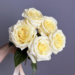 Volkova flowers