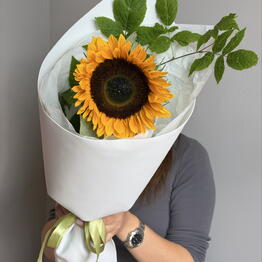 Volkova flowers