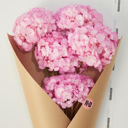 Rozen Dozen