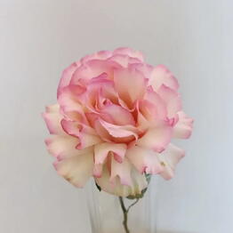 Flowershop
