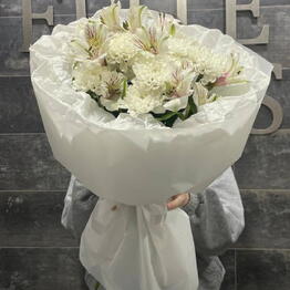 Elite Rose