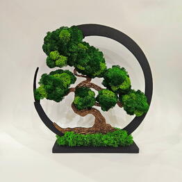 Студия фитодизайна "Micro Garden"