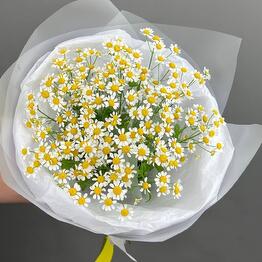BOO X Flowers Electrosila