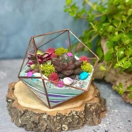 CRYSTAL FOREST