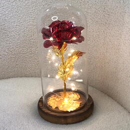 Mai Flowers studio
