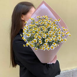 Ohapka lyubvi
